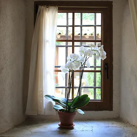 Restaurante Casa De La Sal Vendégház Candelario