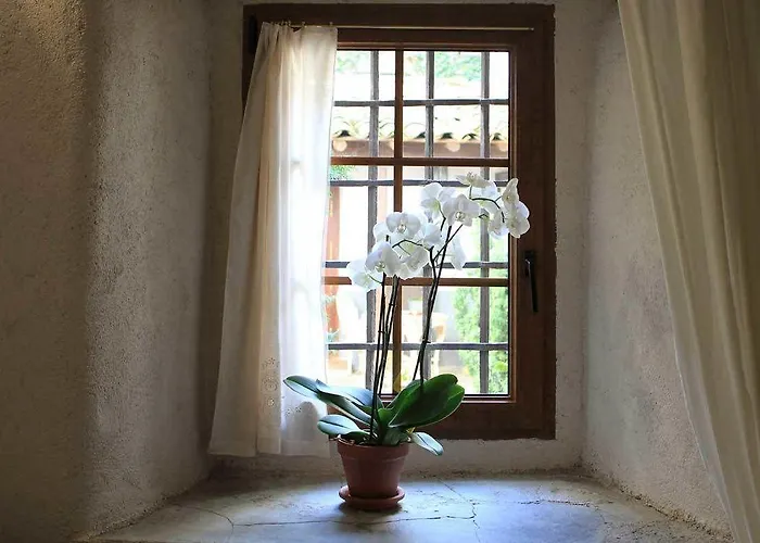 Guest house Posada Restaurante Casa De La Sal